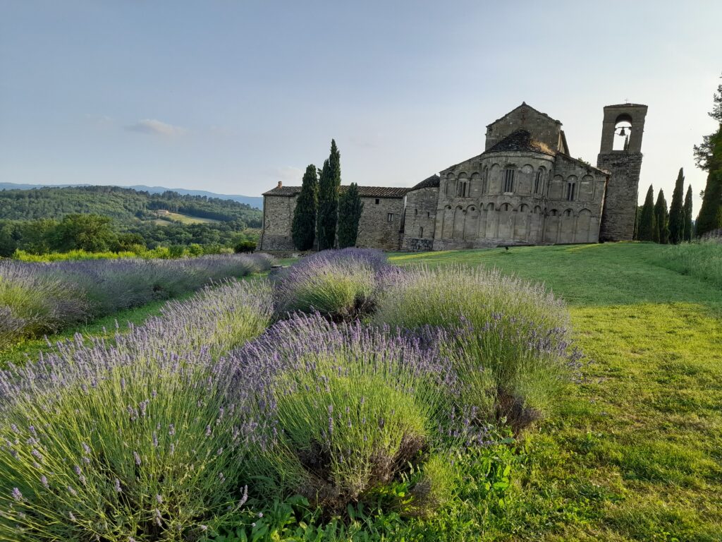 “…Da allora la Valle è rimasta remota e dimenticata, cosparsa delle rovine dei suoi giorni tumultuosi. Le resta la sua bellezza, toccata dalla aura di pensieri e ricordi, propria dei luoghi di passate battaglie e passioni.” Così la viaggiatrice inglese Ella Noyes descrive il Casentino nel suo libro “The Casentino and its story” nel 1905. Vieni a scoprirlo con noi.